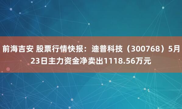 前海吉安 股票行情快报：迪普科技（300768）5月23日主力资金净卖出1118.56万元