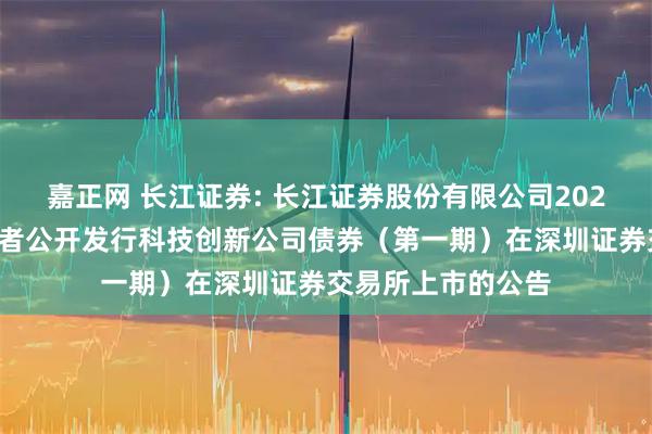嘉正网 长江证券: 长江证券股份有限公司2025年面向专业投资者公开发行科技创新公司债券（第一期）在深圳证券交易所上市的公告