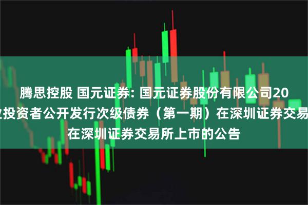 腾思控股 国元证券: 国元证券股份有限公司2025年面向专业投资者公开发行次级债券（第一期）在深圳证券交易所上市的公告