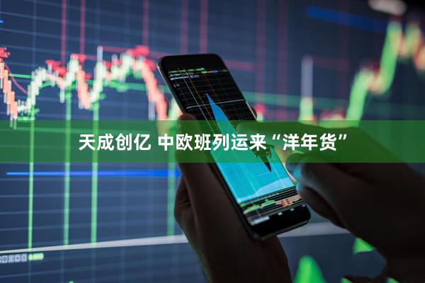 天成创亿 中欧班列运来“洋年货”